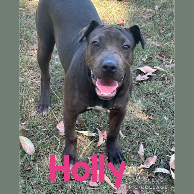 Photo of Holly