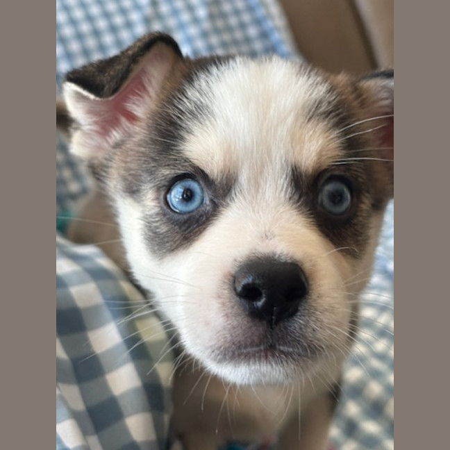 Photo of Charlie