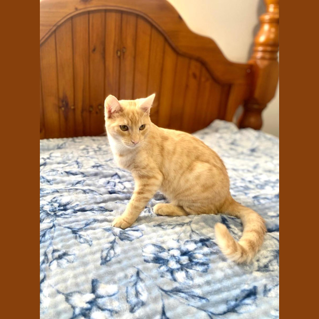 Photo of Sparkles