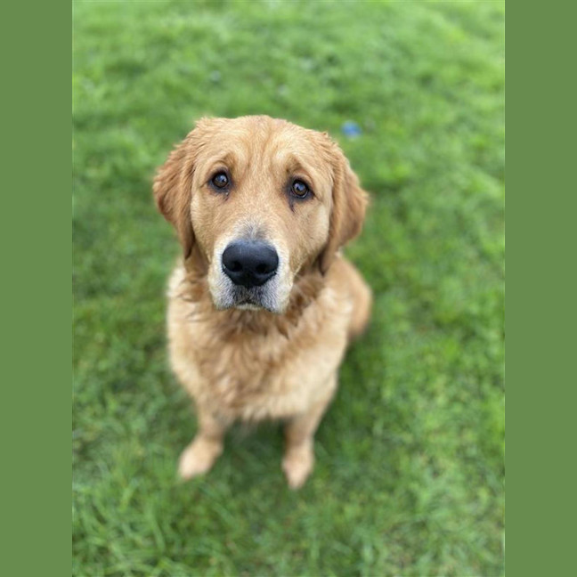 Photo of Whiskey
