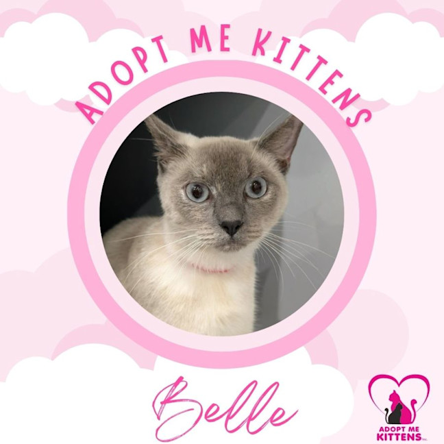 Photo of Belle