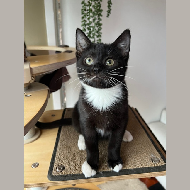 Photo of Jack & Jupiter