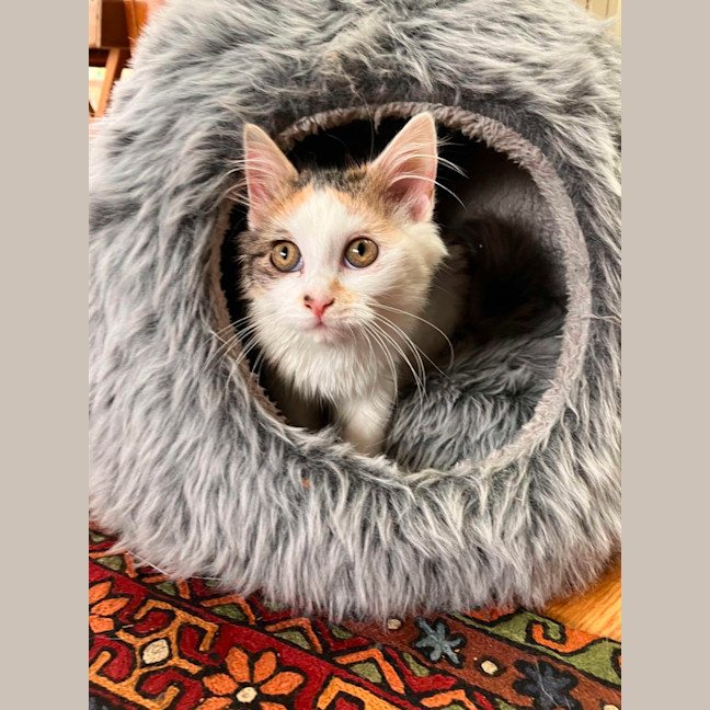 Photo of Winnie