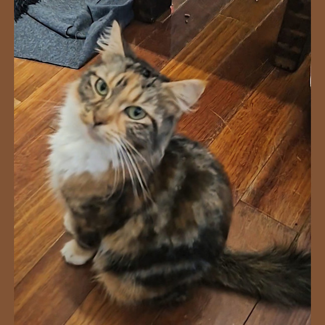 Photo of Miss Molly 