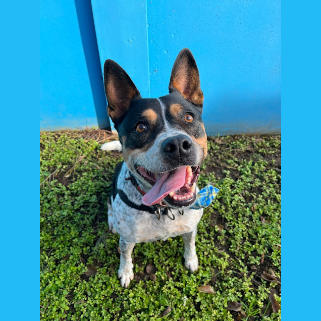 Photo of Leela