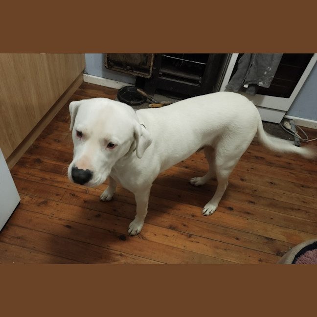 Photo of Roly