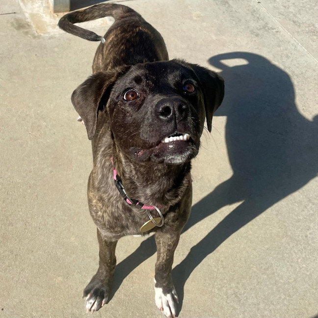 Photo of Xena