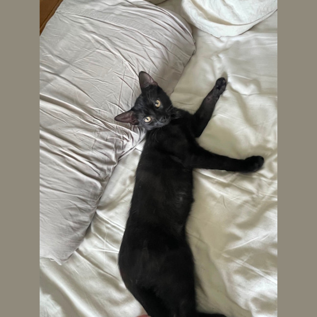 Photo of Missy