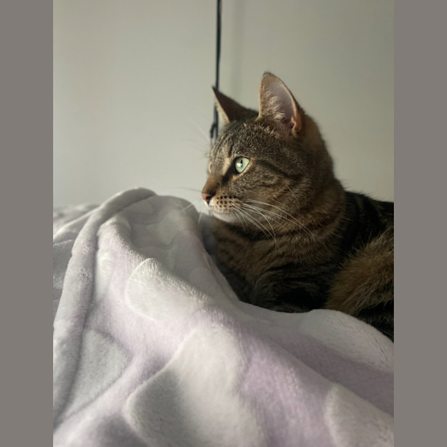 Photo of Hugo 