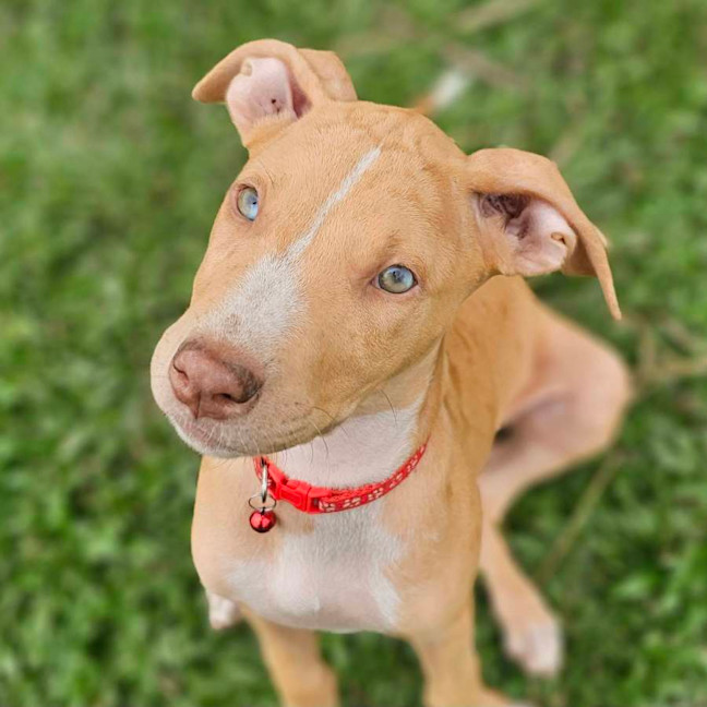 Photo of Doja