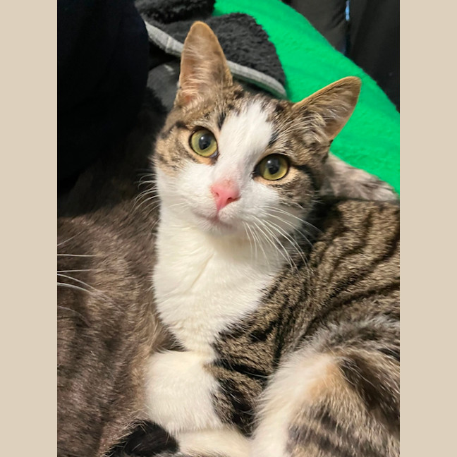 Photo of Big Ted & Little Roger