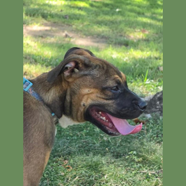 Photo of Coco