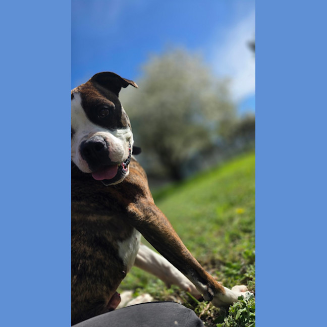 Photo of Tank
