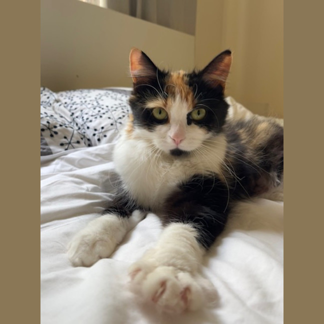 Photo of Edie