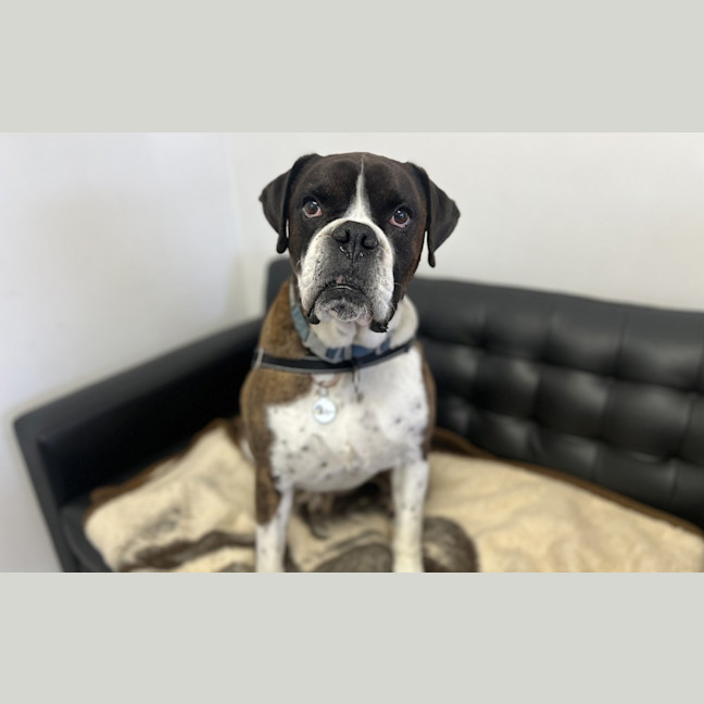 Photo of Ralphy