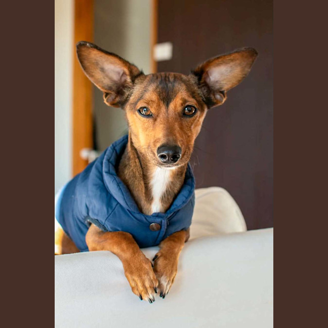 Photo of Sprout