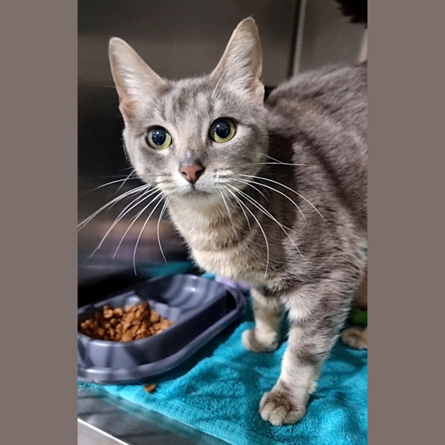 Photo of Delilah