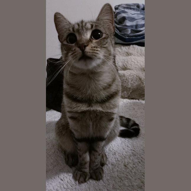 Photo of Bea