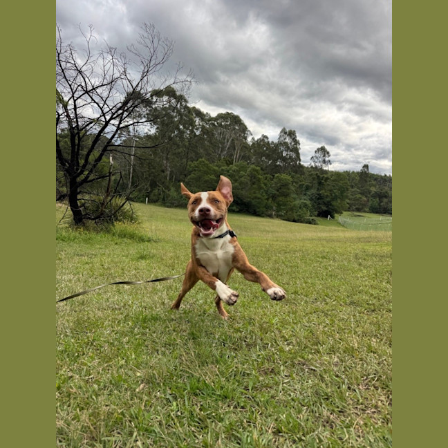 Photo of Fred
