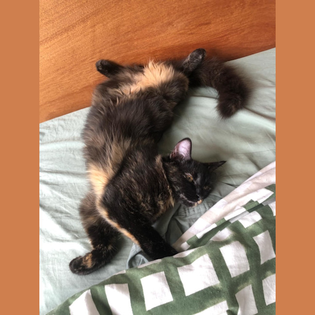 Photo of Annie 