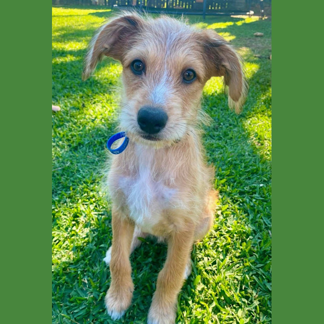 Photo of Cinnamon