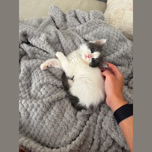 Photo of Albi & Atlas 