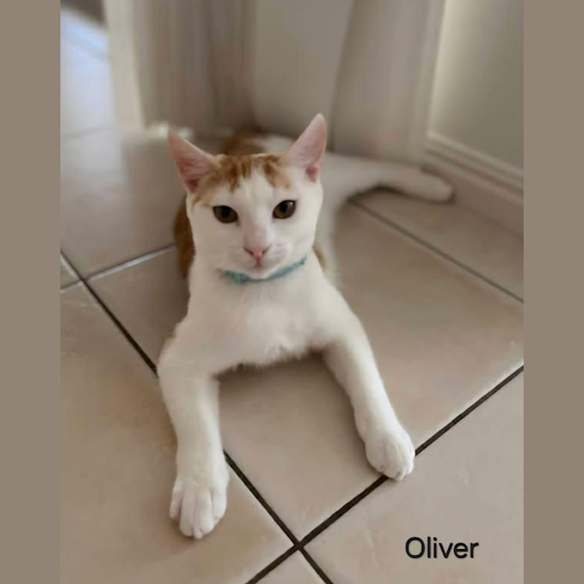 Photo of Oliver