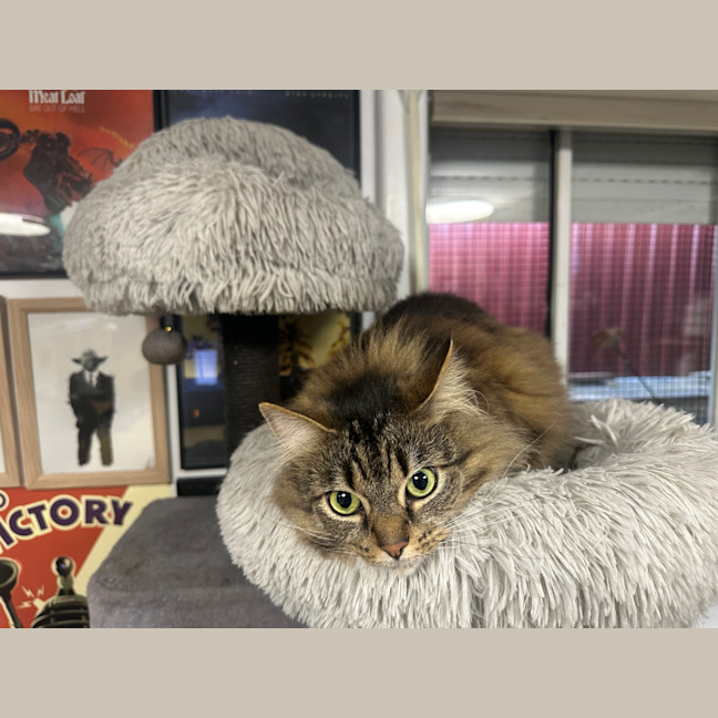 Photo of Meg