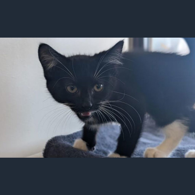 Photo of Fred