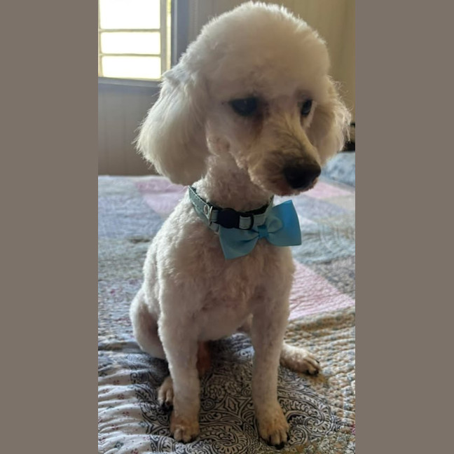 Photo of George