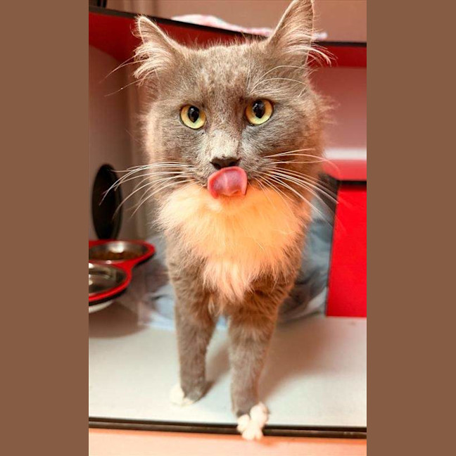 Photo of Lord Beans