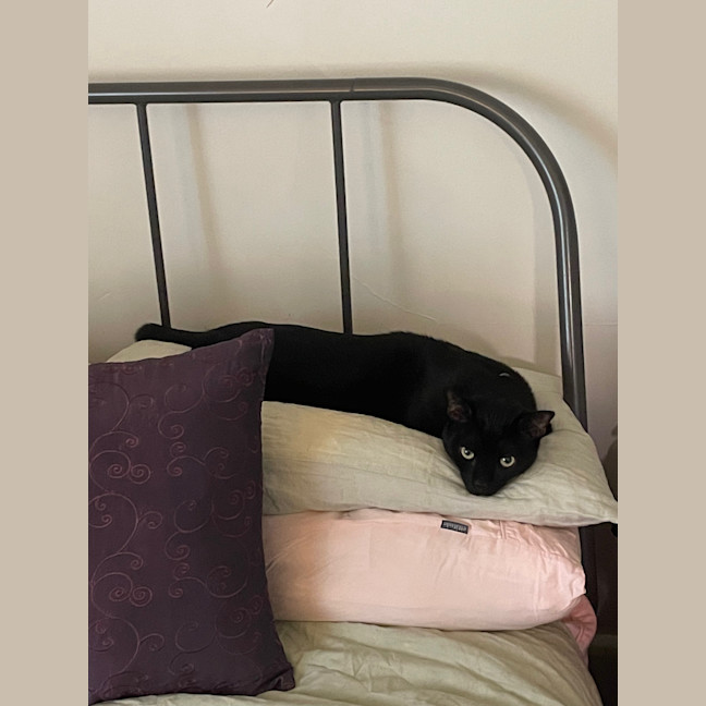 Photo of Kiko