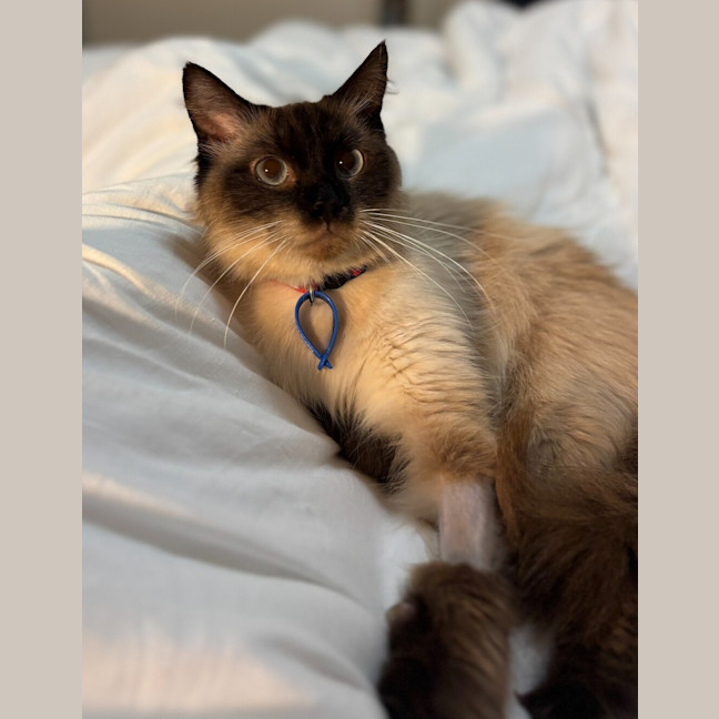 Photo of Winnie