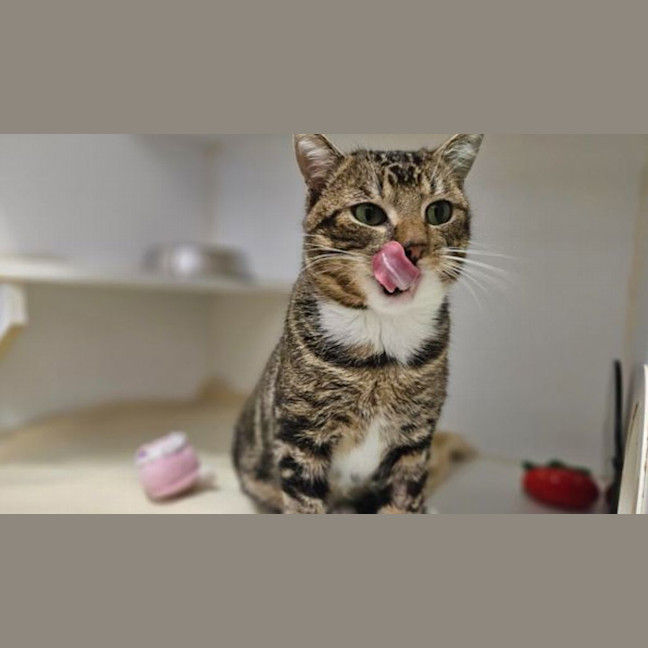 Photo of Cutie Pie