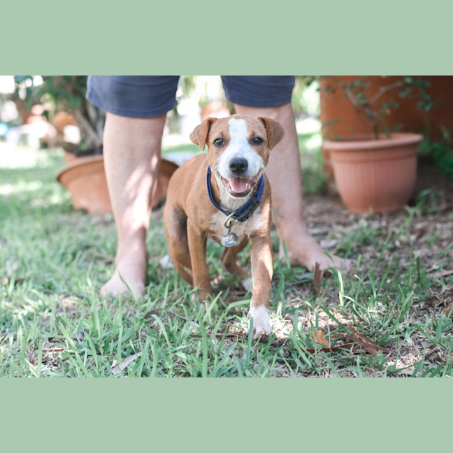 Photo of Gertie