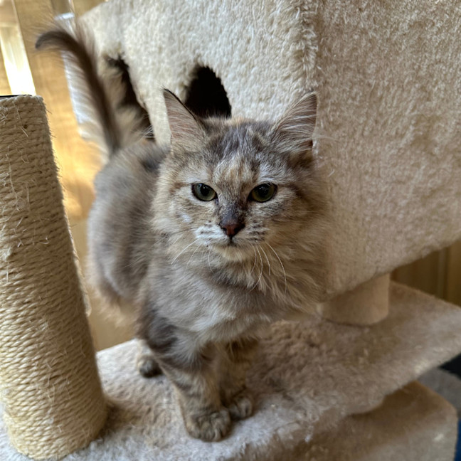 Photo of Sugar