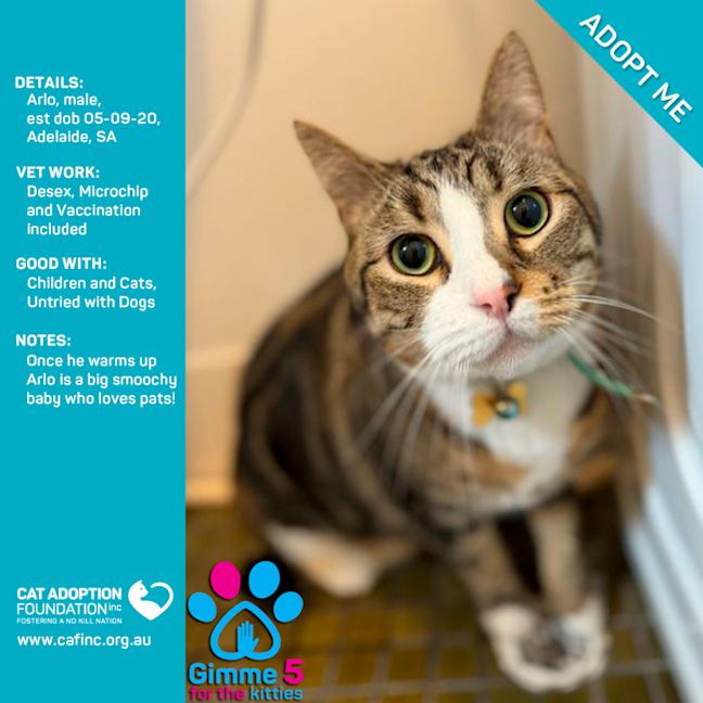 Photo of Arlo Only $40 Limited Time!