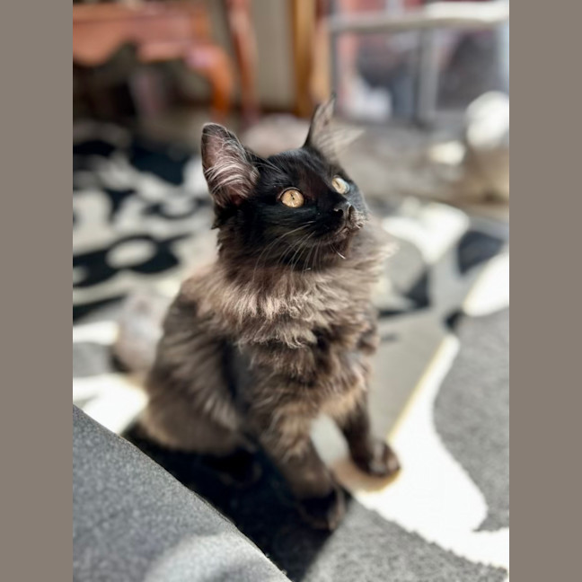 Photo of Lumos   Located In Lower Plenty