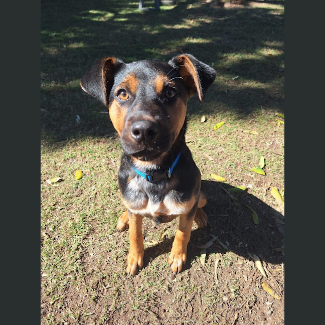 Photo of Nelly