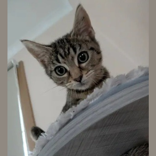 Photo of Tabitha