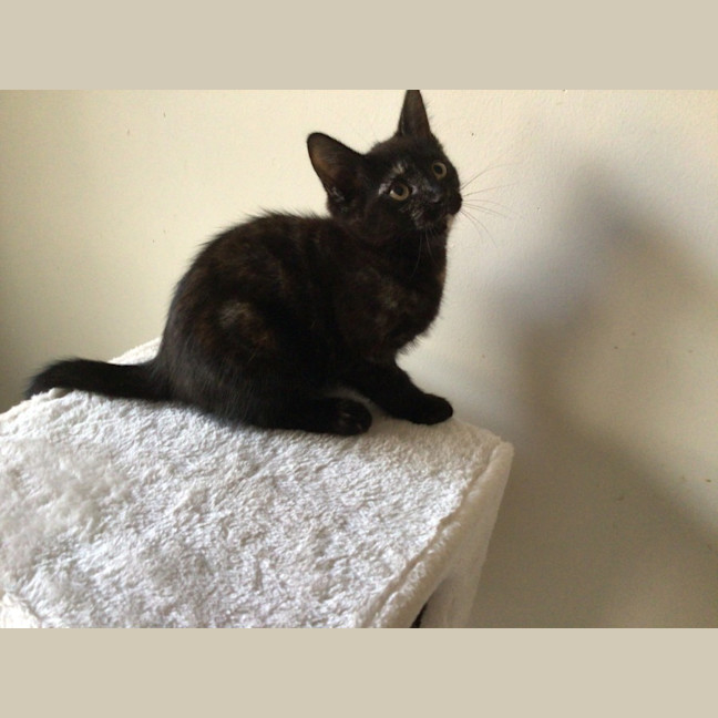 Photo of Ella