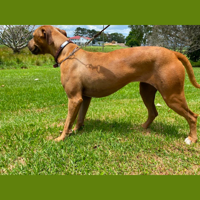 Photo of Princess Jay