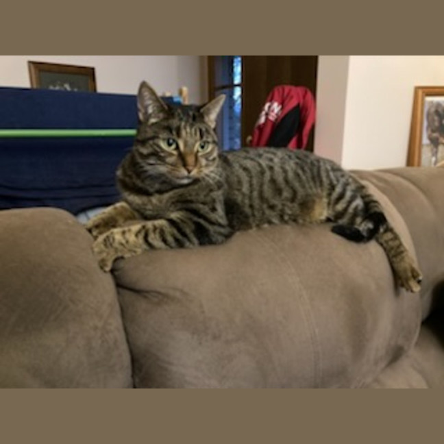 Photo of Tilly