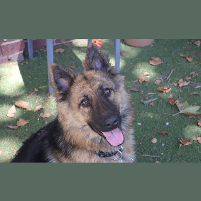 Photo of Delilah