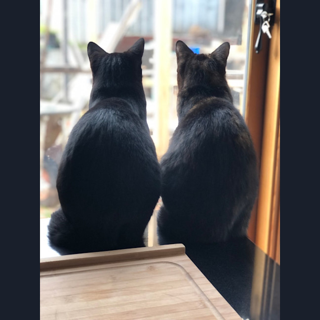 Photo of Stanley & Rosie