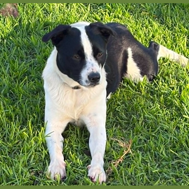 Photo of Tux