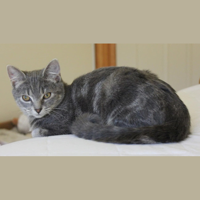 Photo of Astrid