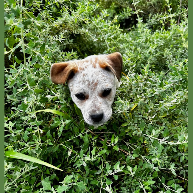 Photo of Mimzy