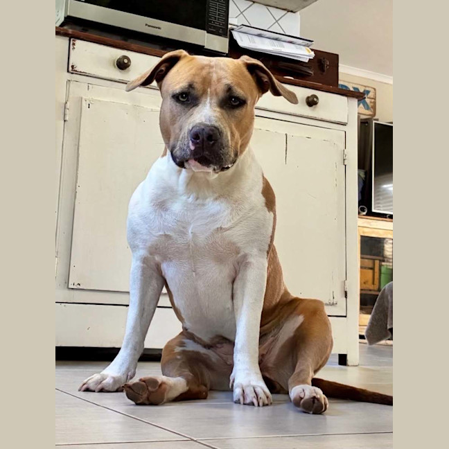 Photo of Lexie