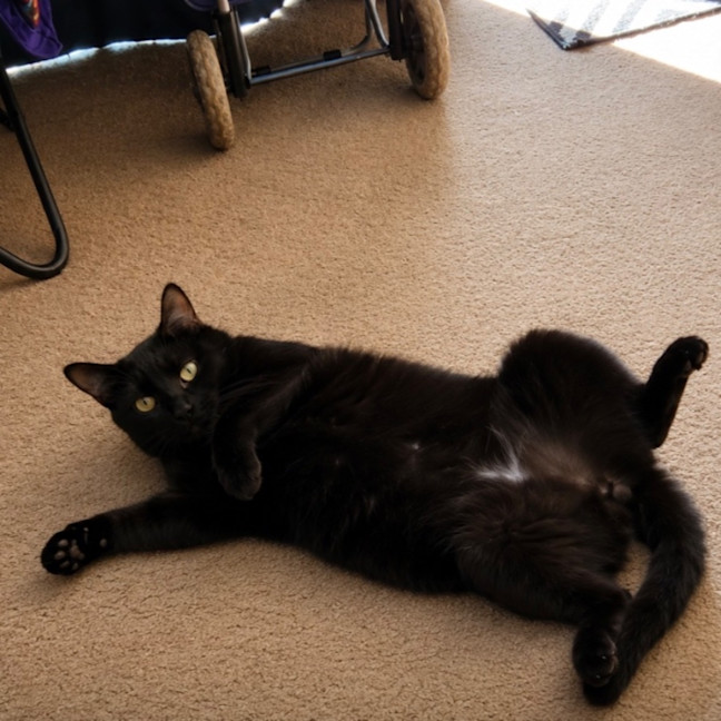 Photo of Leo